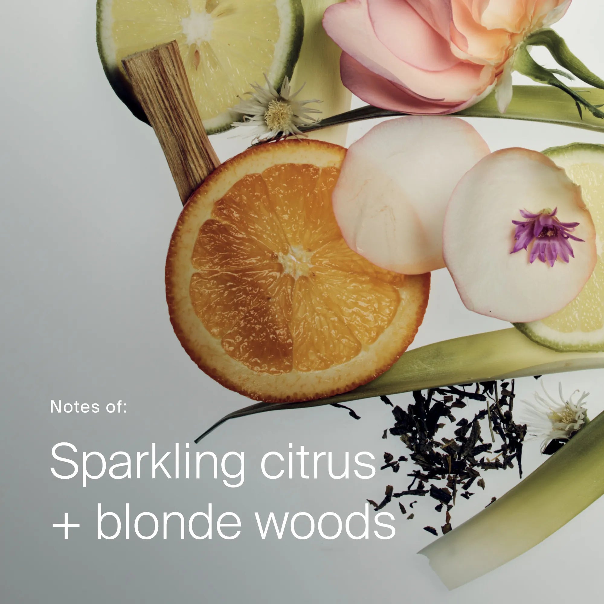 Curl Definer - Image 7