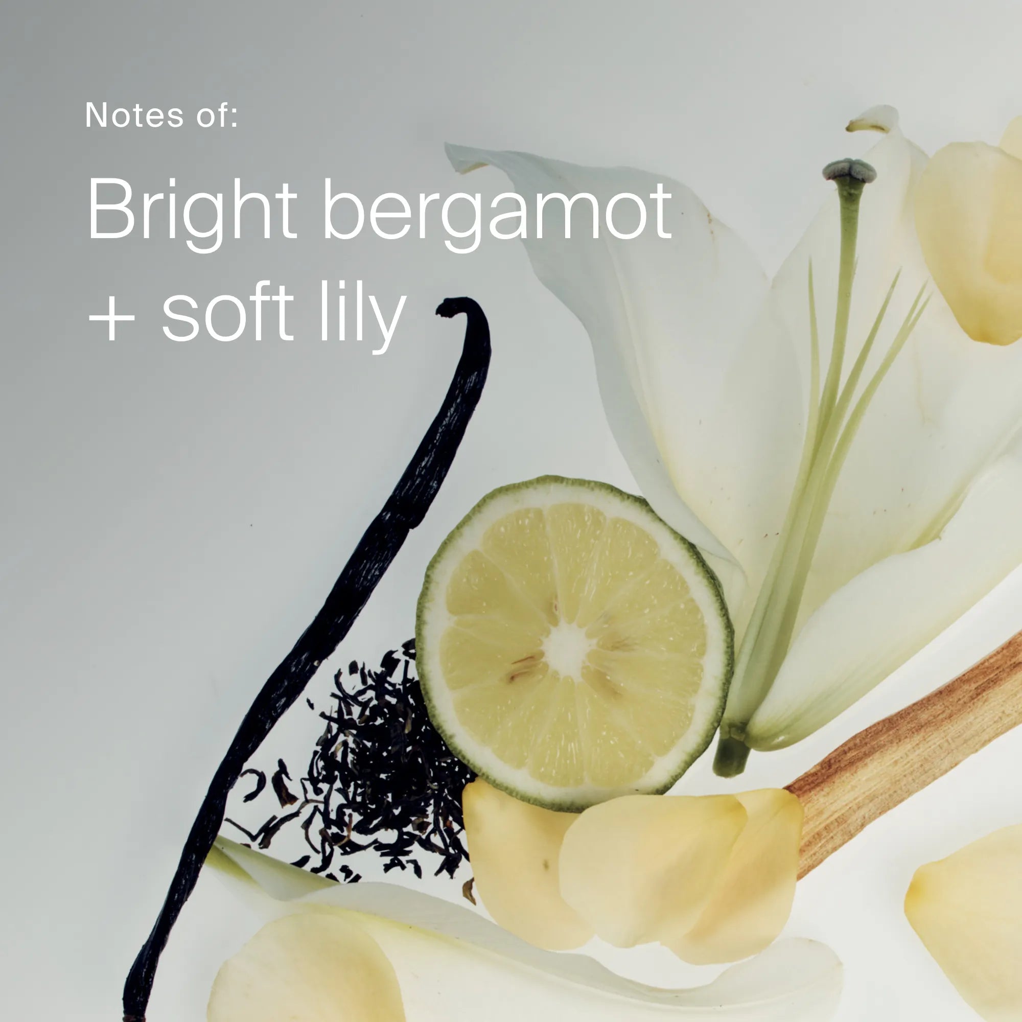 frizz® Shampoo - Image 7